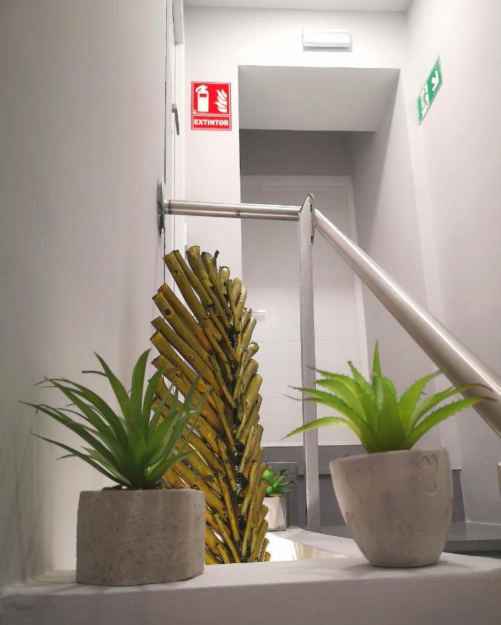 Eres Emerita "Apartamentos & Suites" 메리다 외부 사진
